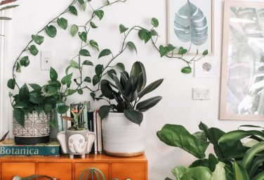 prudence-earl-hw-unsplash prudence-earl-hw-unsplash